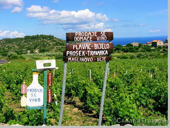 Vineyard on Vis island