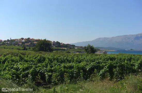 Vineyards outside Lumbarda, Korcula