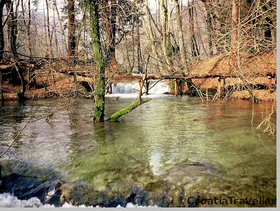 Pond at Plitvice Lakes