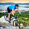 Cycle and Hike Cruises