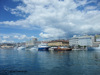 Rijeka port