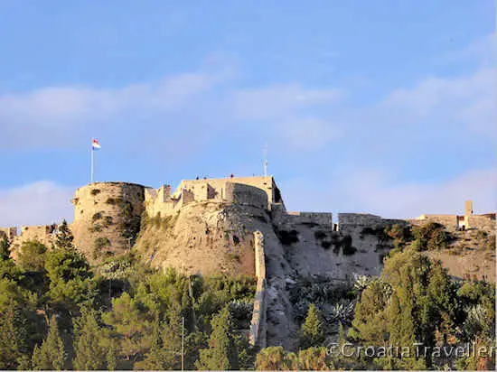 Fortiza, Hvar