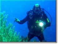 Scuba diver