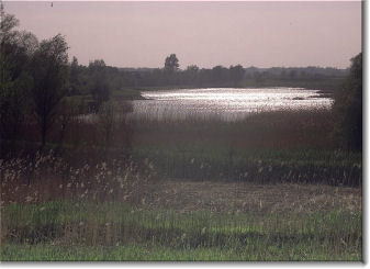 Kopacki Rit Nature Park