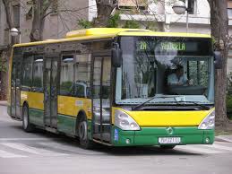 Pula bus