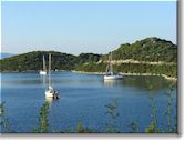 Sailboats in a bay