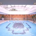 Indoor swimming pool